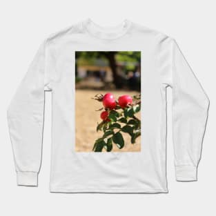 Rose hips Long Sleeve T-Shirt